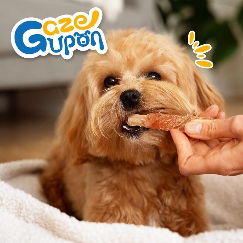 Limited-time discount |35%OFF Now  Gazien dog snacks, chicken wrapped oat cookie sticks