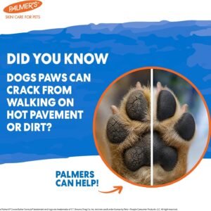 Limited-time discount |35%OFF Now  Pamla's Pet Nail Care Cream