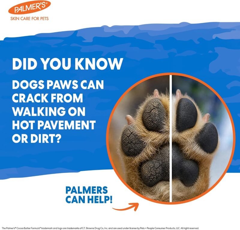 Limited-time discount |35%OFF Now  Pamla's Pet Nail Care Cream