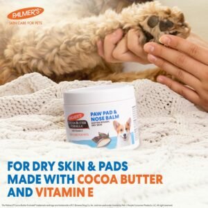 Limited-time discount |35%OFF Now  Pamla's Pet Nail Care Cream