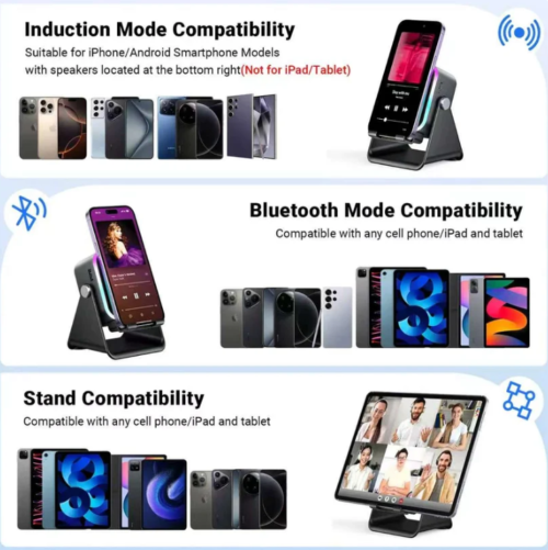 5-in-1 Induction Speaker Stand with RGB Lights & Bluetooth